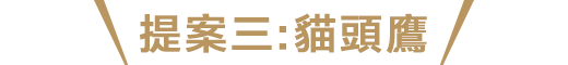 提案三：貓頭鷹